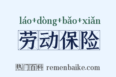 劳动保险是什么意思的图片